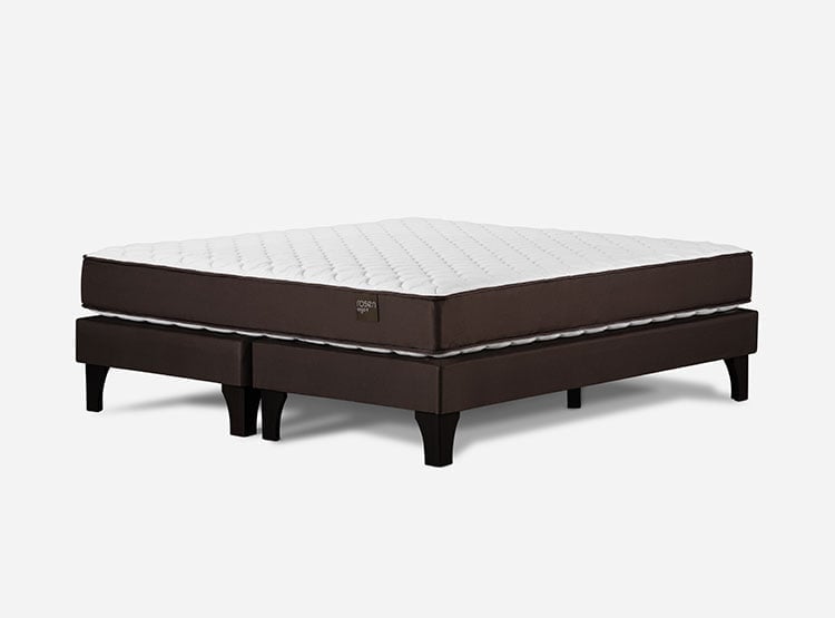 CAMA EUROPEA ROSEN ERGO T NEW QUEEN - 2
