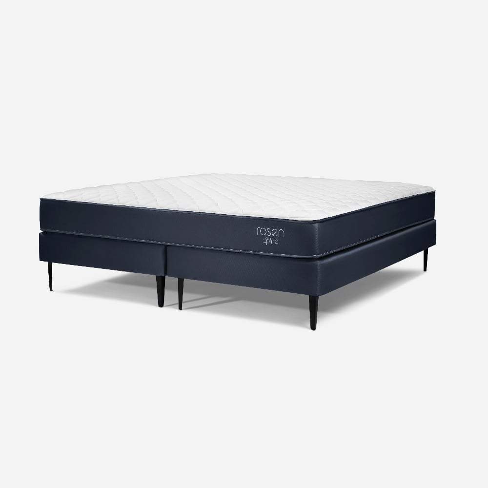 CAMA EUROPEA ROSEN UPLINE QUEEN - 1