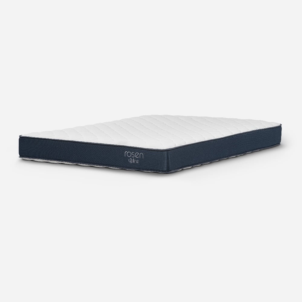 CAMA EUROPEA ROSEN UPLINE QUEEN - 6
