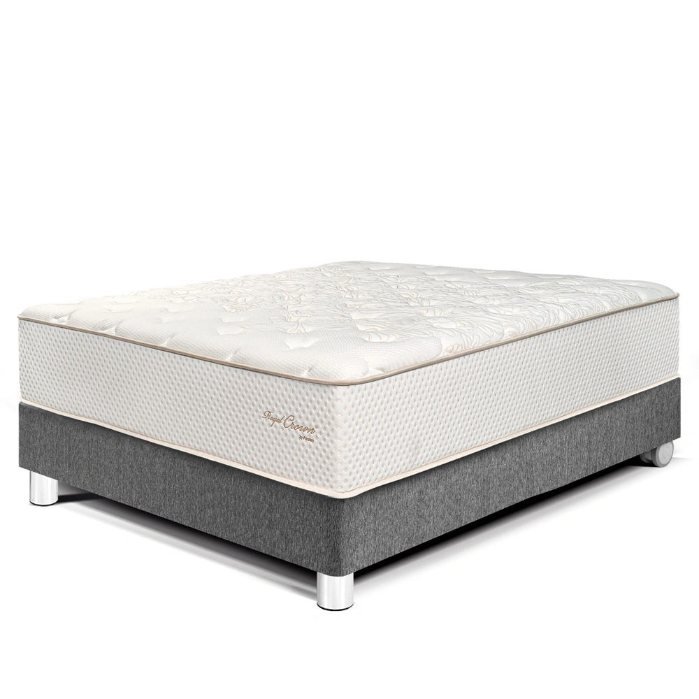 CAMA PARAÍSO ROYAL CROWN GRIS 2 PLAZAS GRIS + 2 ALMOHADAS VISCOELÁSTICAS - 1