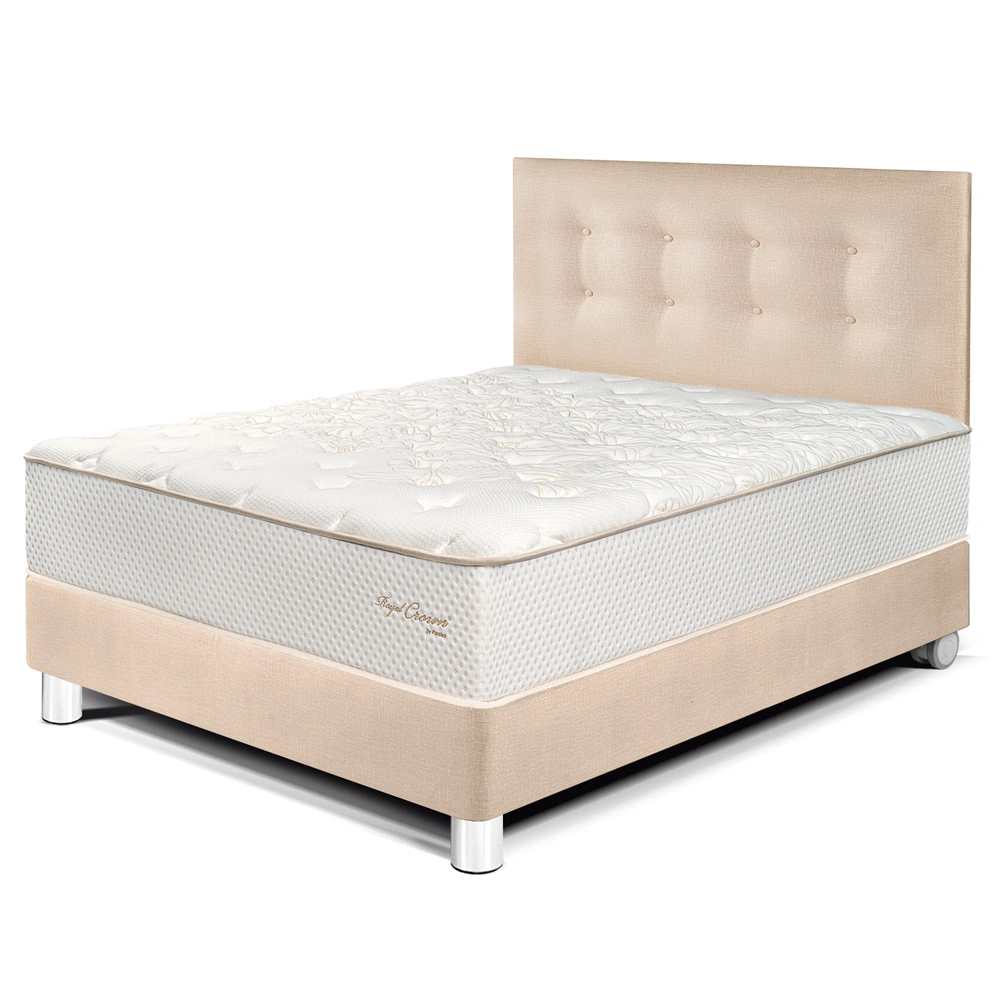 DORMITORIO PARAÍSO ROYAL CROWN 1.5 PLAZAS CHAMPAGNE + 1 ALMOHADA VISCOELÁSTICA - 1