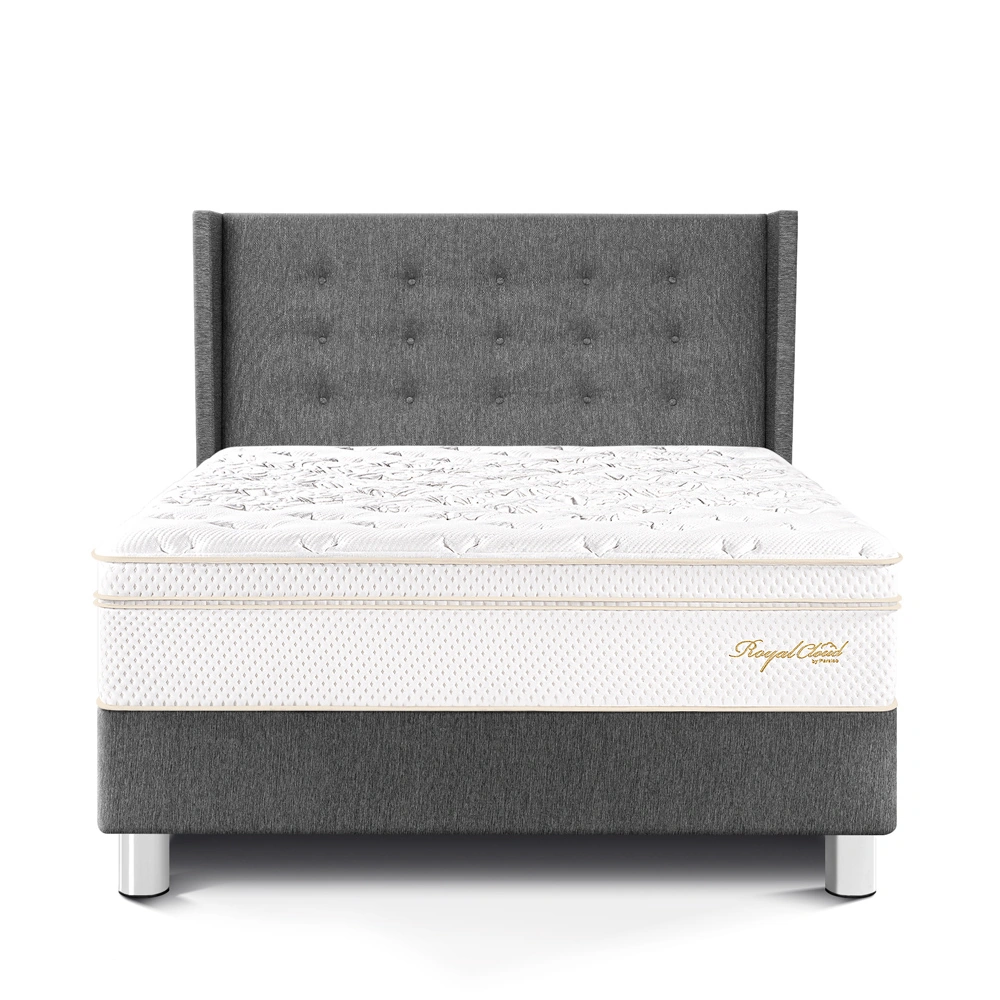 DORMITORIO PARAÍSO ROYAL CLOUD 2 PLAZAS + CABECERA GOLD GRIS + 2 ALMOHADAS VISCOELÁSTICAS - 3