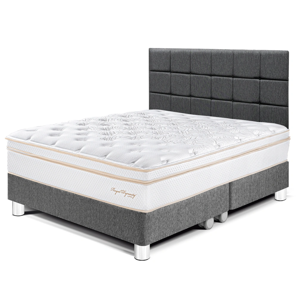 DORMITORIO PARAÍSO ROYAL DYNASTY KING + CABECERA BLOCKS GRIS + 2 ALMOHADAS VISCOELÁSTICAS - 1