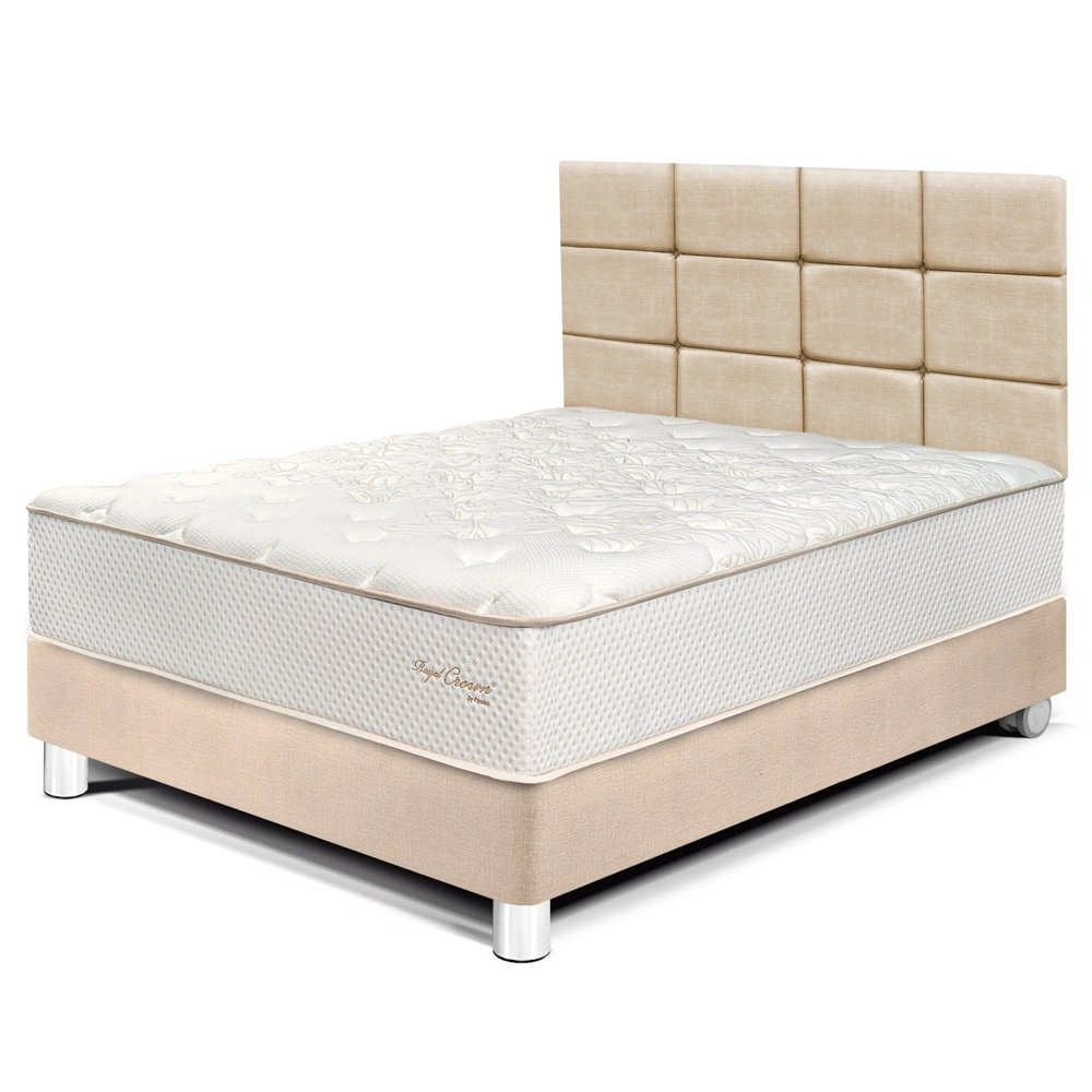 DORMITORIO PARAÍSO ROYAL CROWN 2 PLAZAS + CABECERA BLOCKS CHAMPAGNE + 2 ALMOHADAS VISCOELÁSTICAS - 1