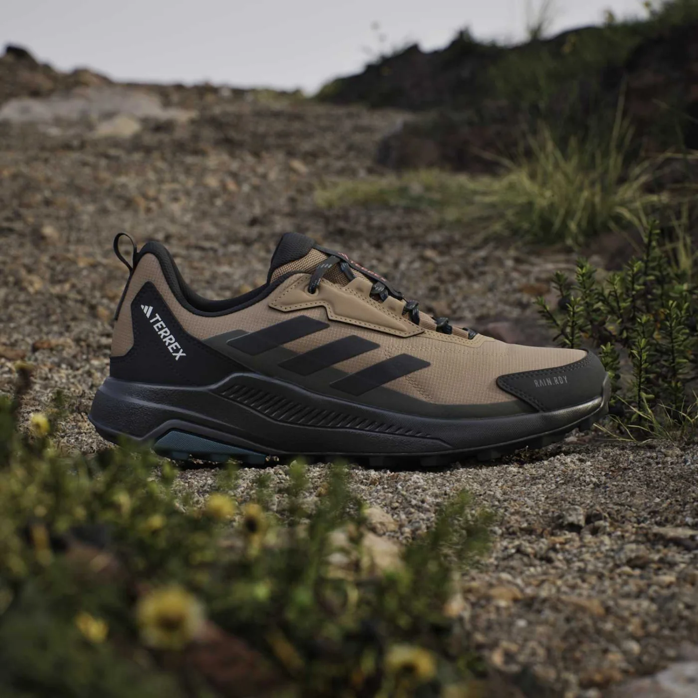 ZAPATILLAS HOMBRE ADIDAS TREKKING BREIGE TERREX ANYLANDER - 1