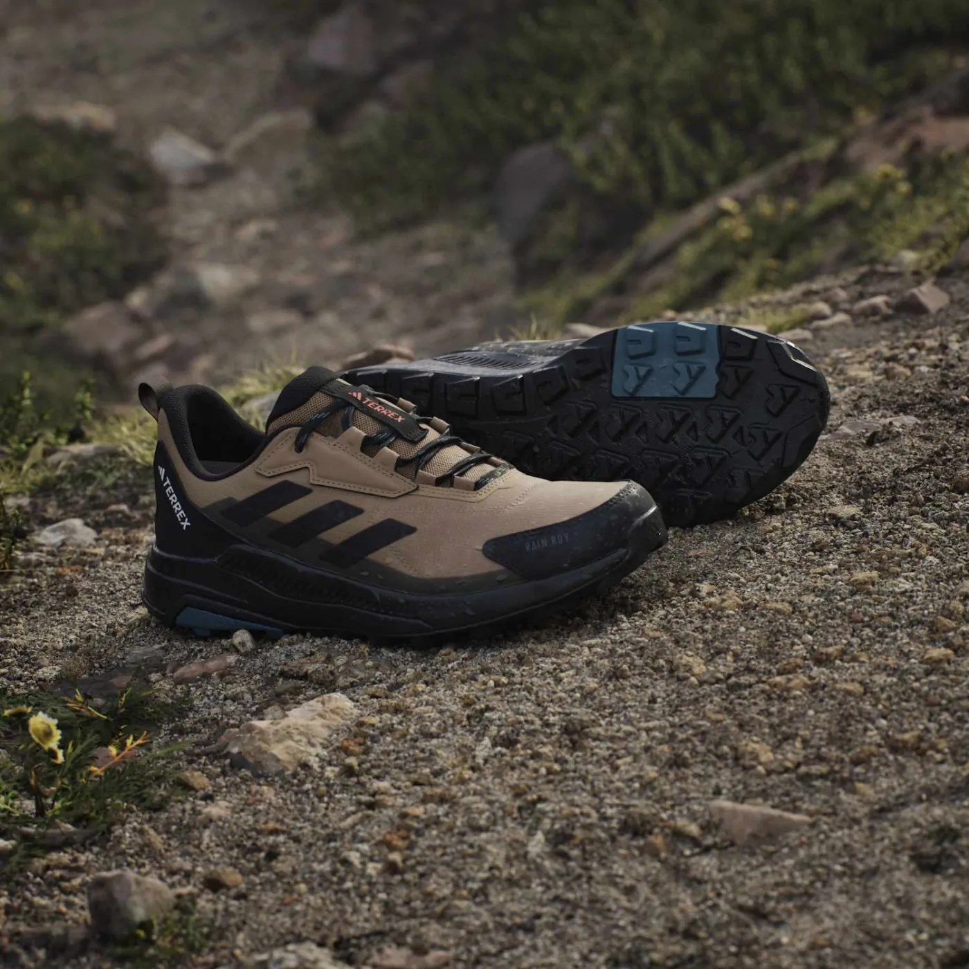 ZAPATILLAS HOMBRE ADIDAS TREKKING BREIGE TERREX ANYLANDER - 6
