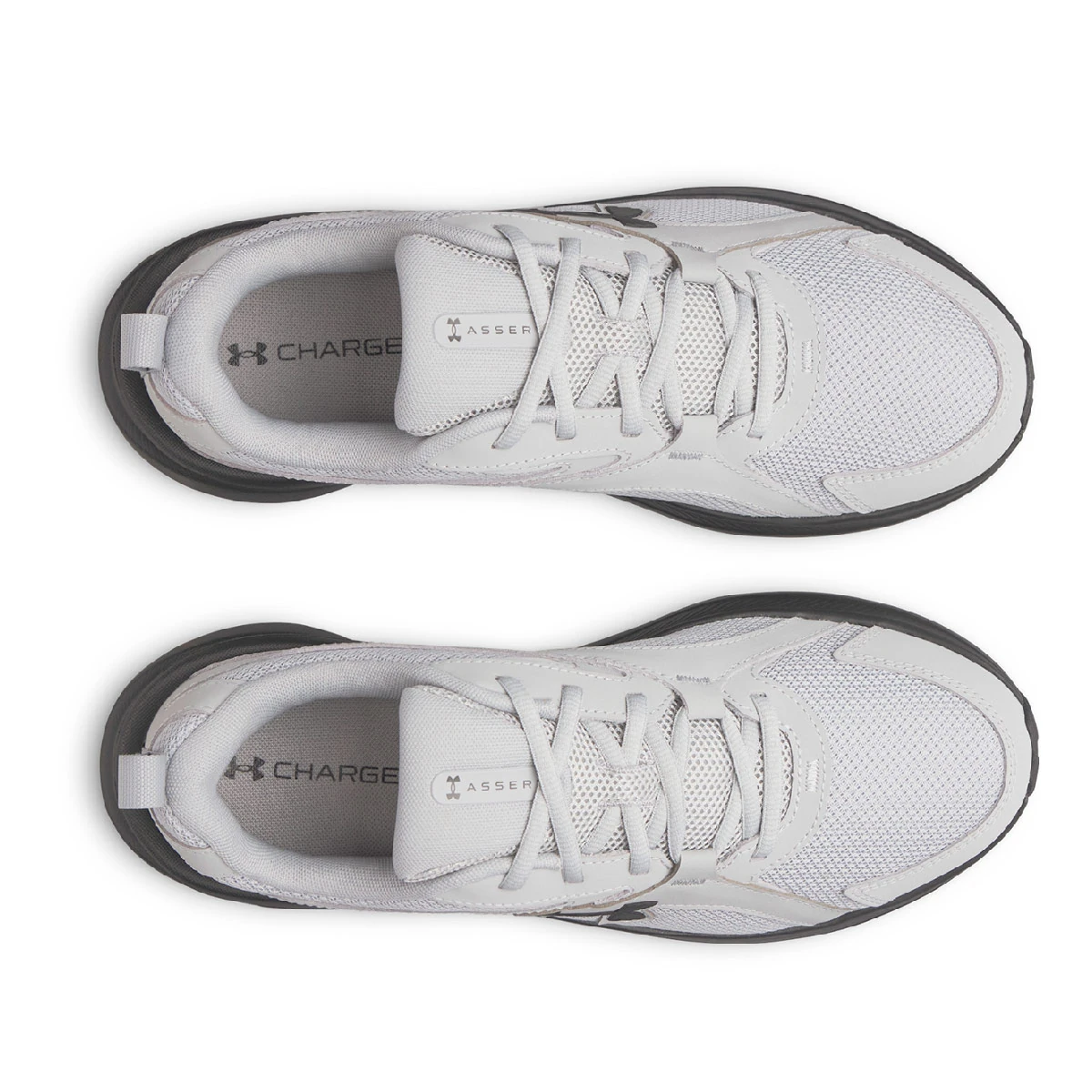 ZAPATILLAS HOMBRE UNDER ARMOUR RUNNING GRIS ASSERT 11 - 4