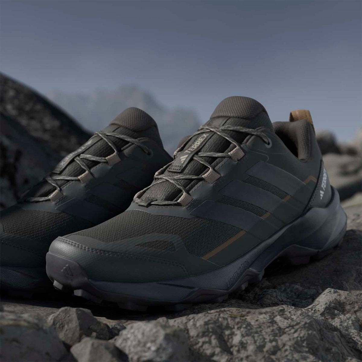 ZAPATILLAS HOMBRE ADIDAS OUTDOOR TERREX SKYCHASER AX5 - 5