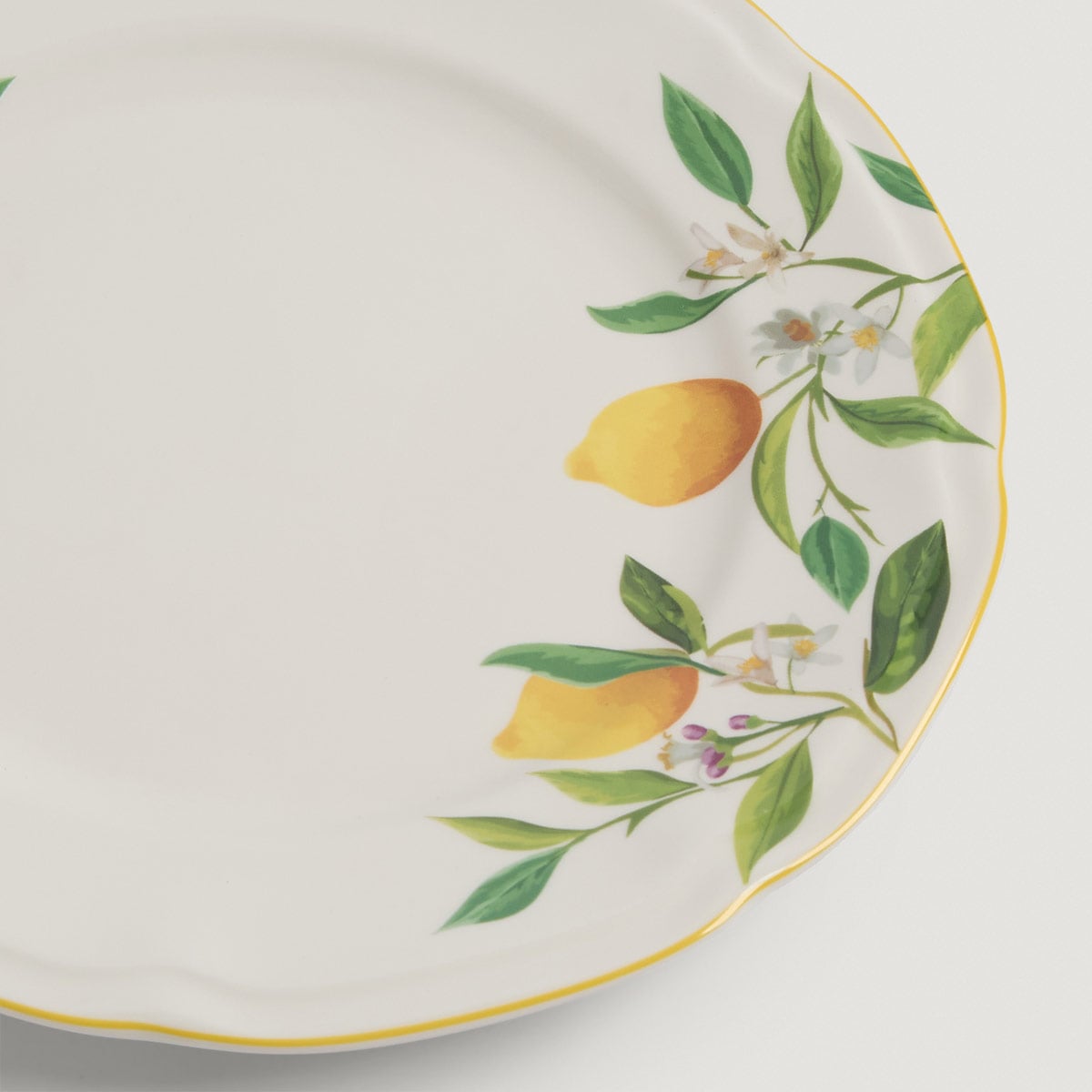 PLATO FONDO RIPLEY HOME LIME AMARILLO - 3