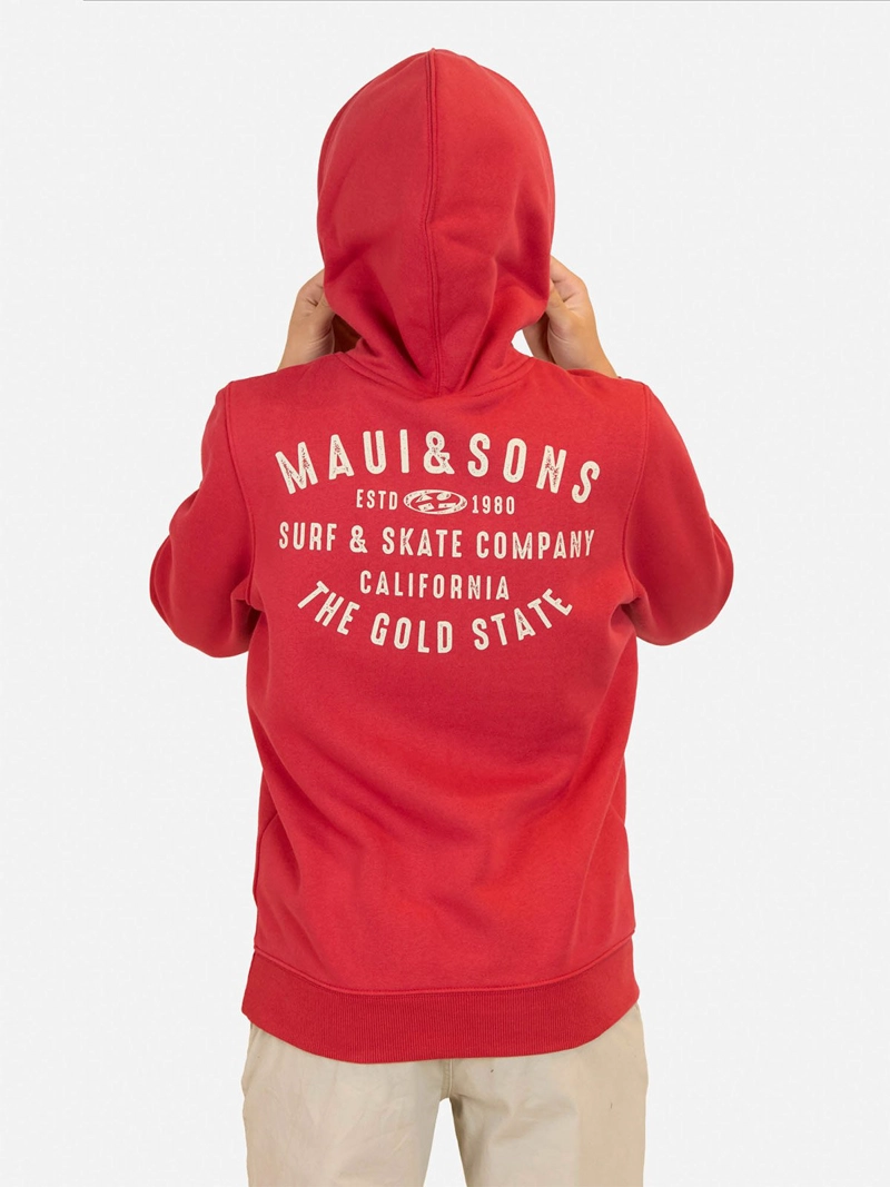 POLERA CANGURO NIÑO MAUI AND SONS 5O543 - 3