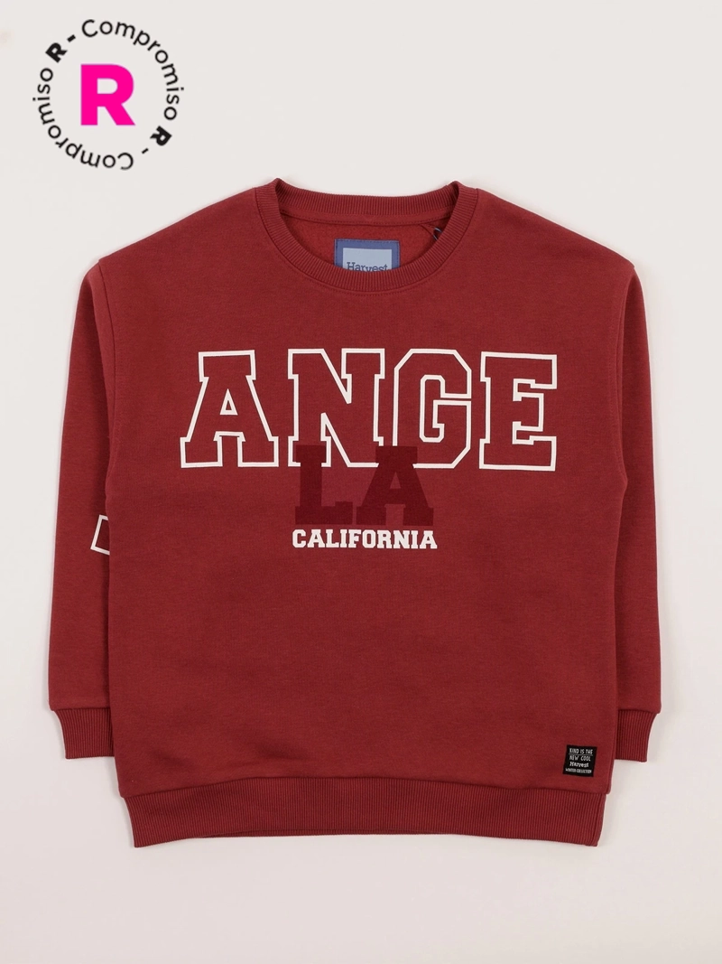 POLERA PLAY NIÑO HARVEST - 1