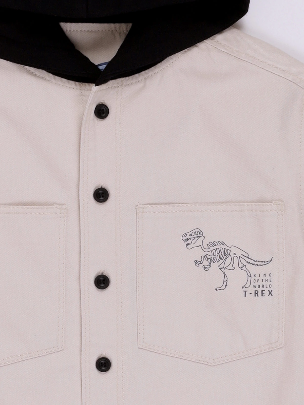 CAMISA MANGA LARGA ALGODÓN NIÑO HARVEST T-REX - 3