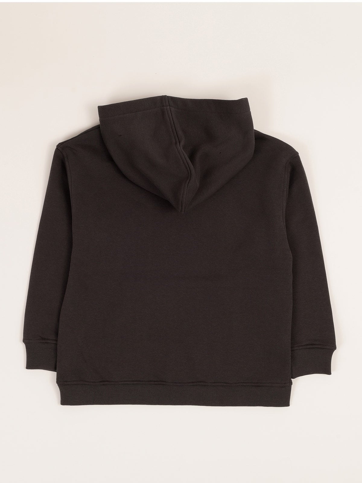 POLERA FRANELA CON CAPUCHA Y CANGURO NIÑO HARVEST - 2