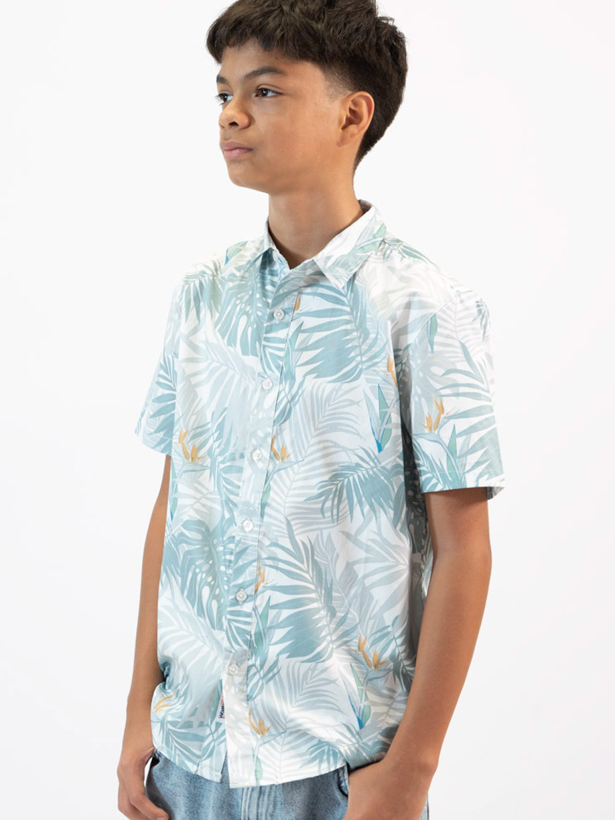 CAMISA MANGA CORTA HOMBRE WOALLANCE ALEXANDER - 2