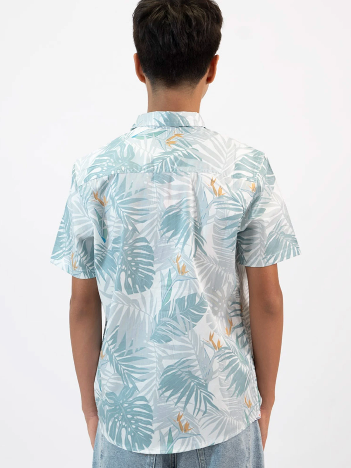 CAMISA MANGA CORTA HOMBRE WOALLANCE ALEXANDER - 4