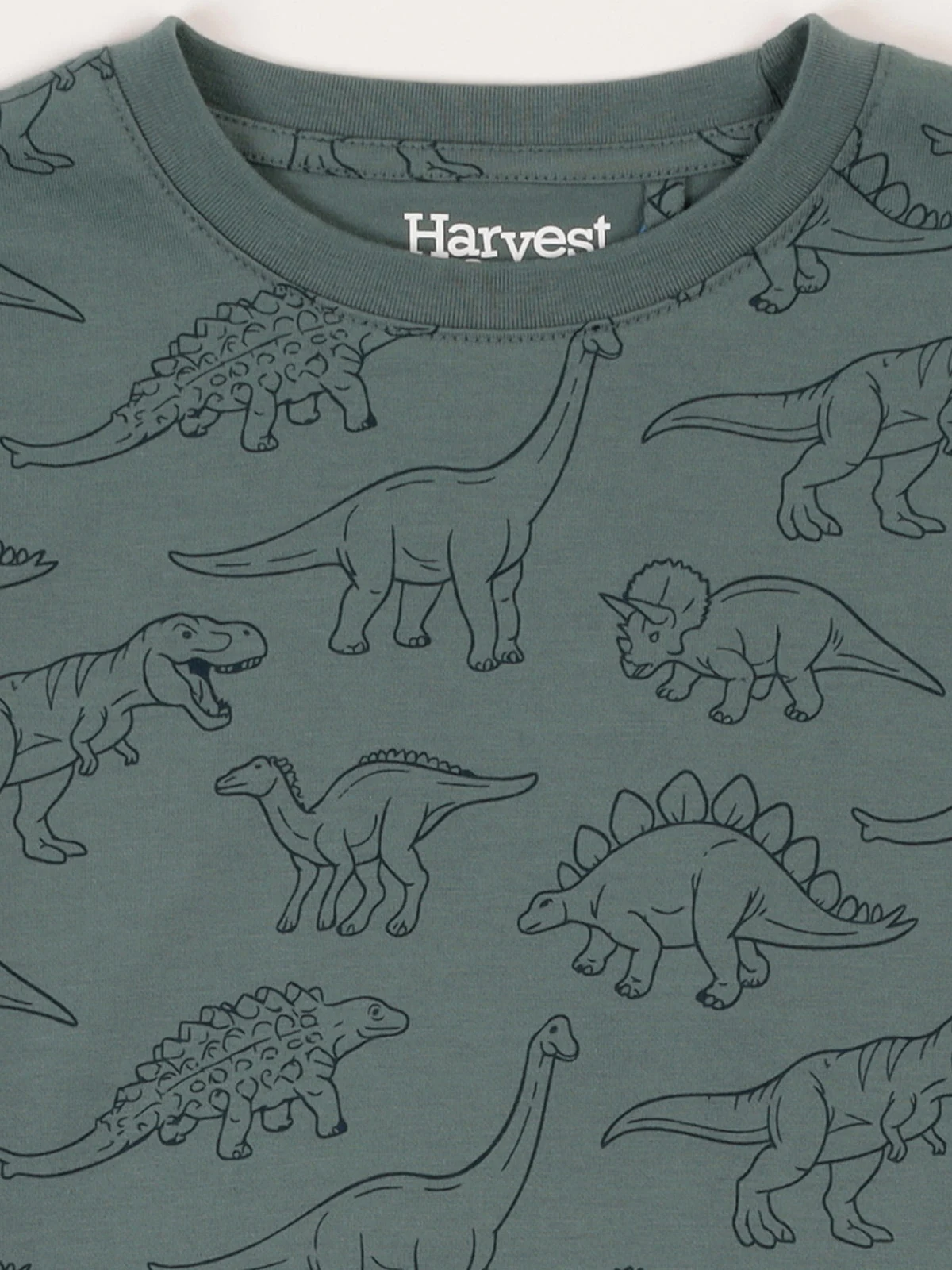 POLO MANGA LARGA DOBLE DINO NIÑO HARVEST - 3