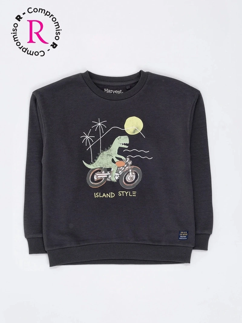 POLERA PLAY NIÑO HARVEST - 3