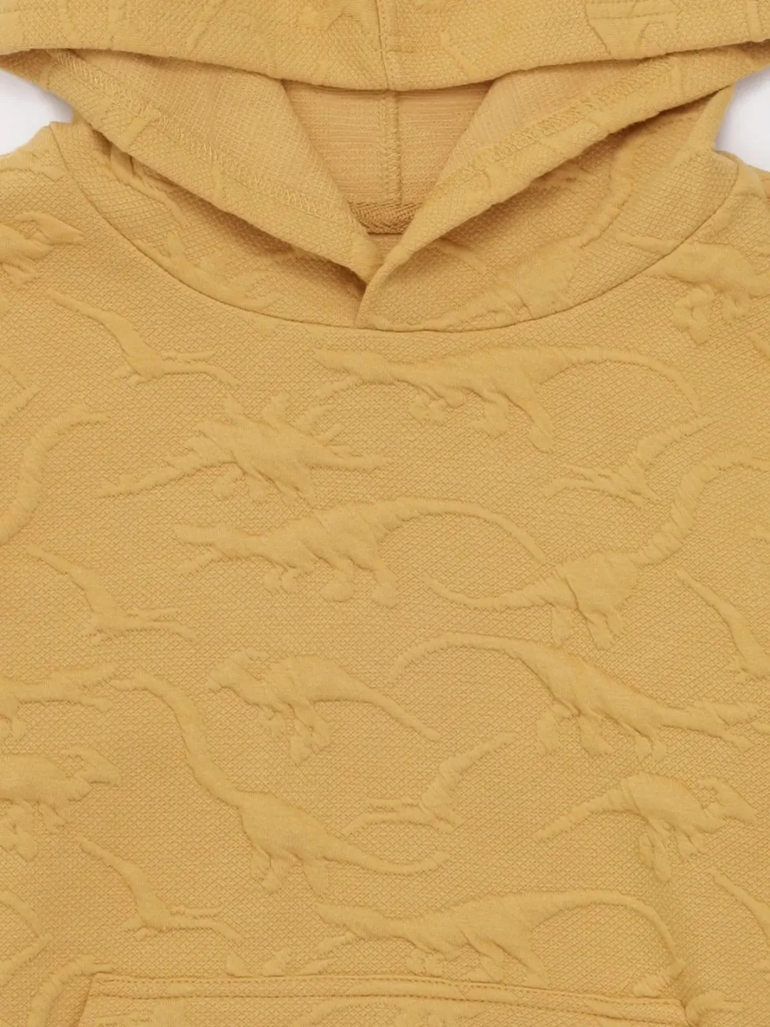 POLERA DINO NIÑO HARVEST - 5