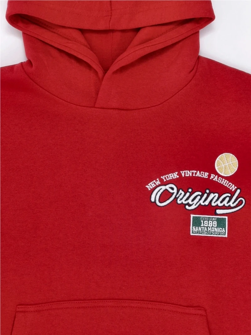 POLERA CON CAPUCHA Y CANGURO DIVISION NIÑO HARVEST - 5
