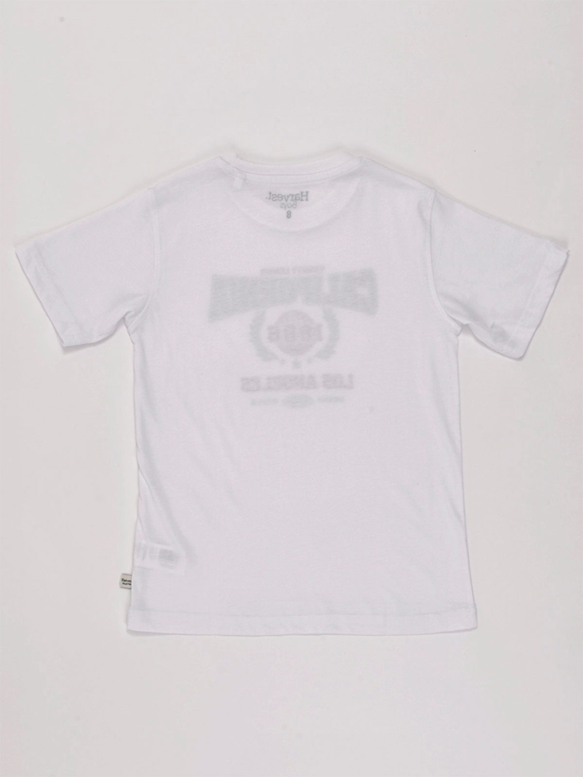 POLO MANGA CORTA NIÑO HARVEST PRINT - 4