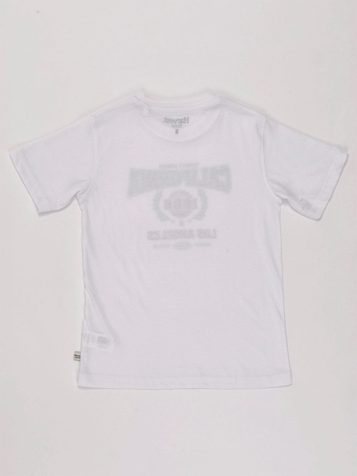 POLO MANGA CORTA NIÑO HARVEST PRINT - 4