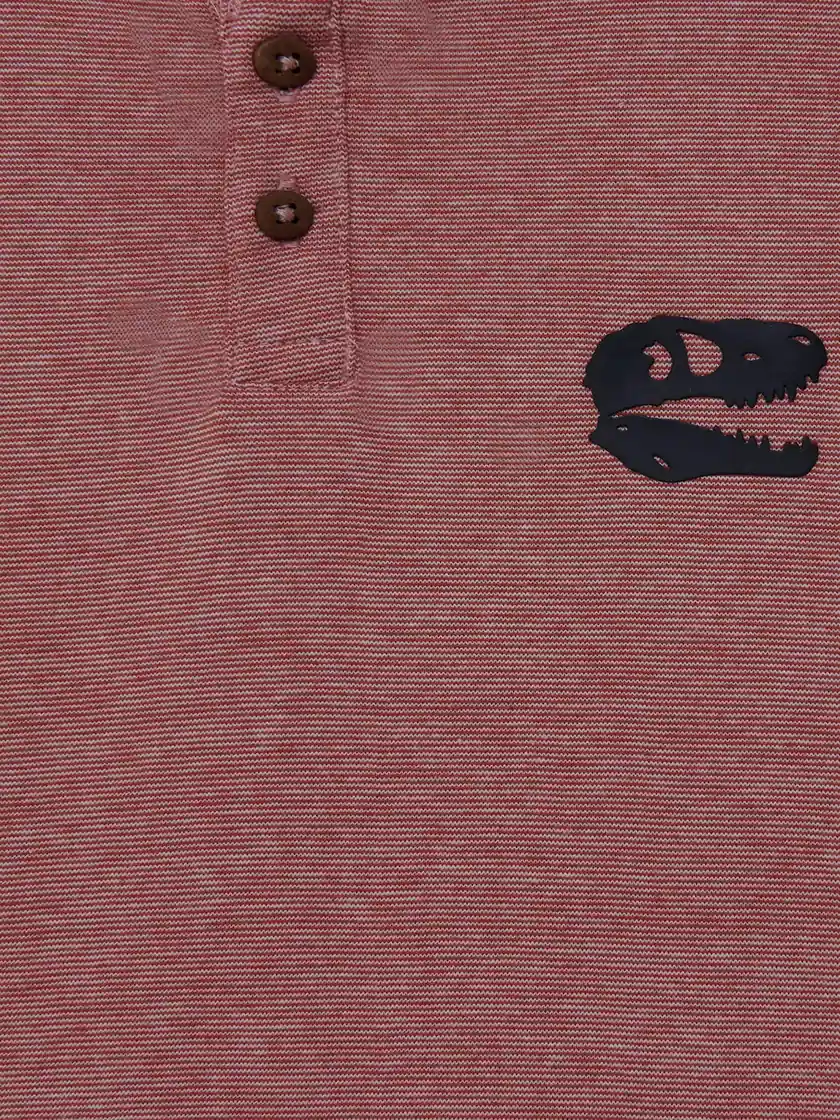 POLO MANGA CORTA ALGODÓN NIÑO HARVEST - 3