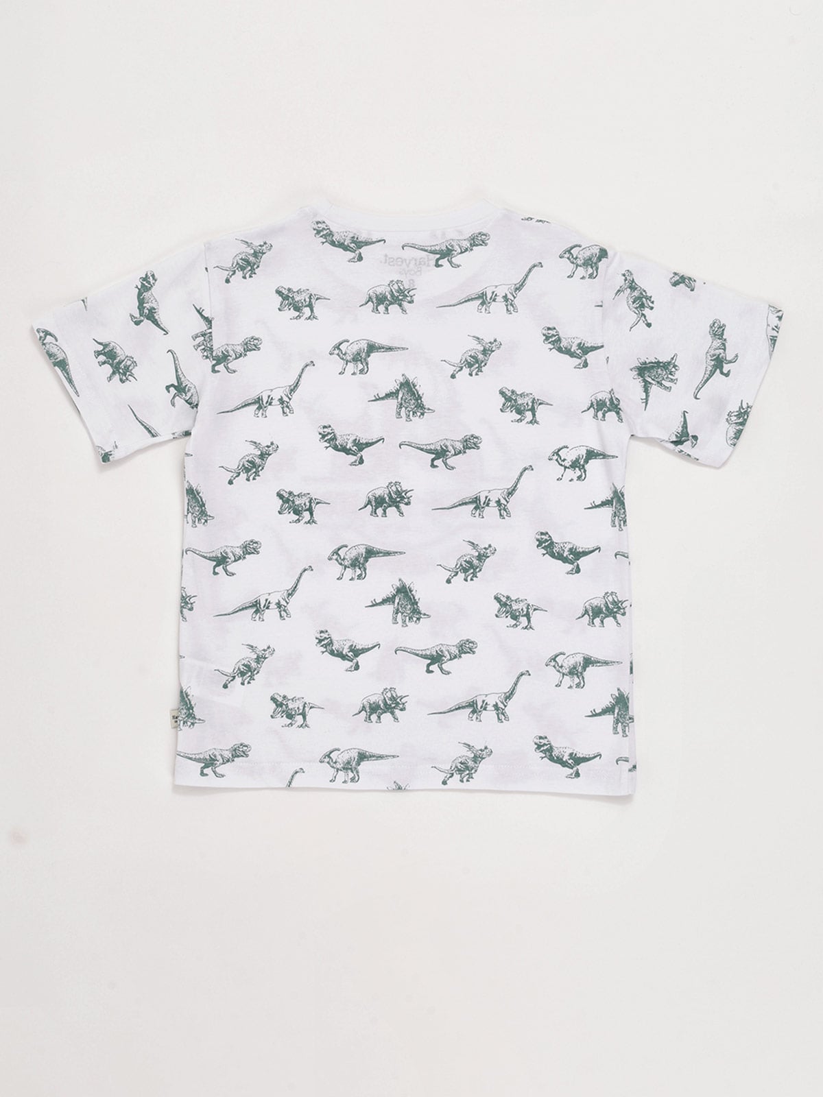 POLO MANGA CORTA ALGODÓN NIÑO HARVEST PRINT - 2