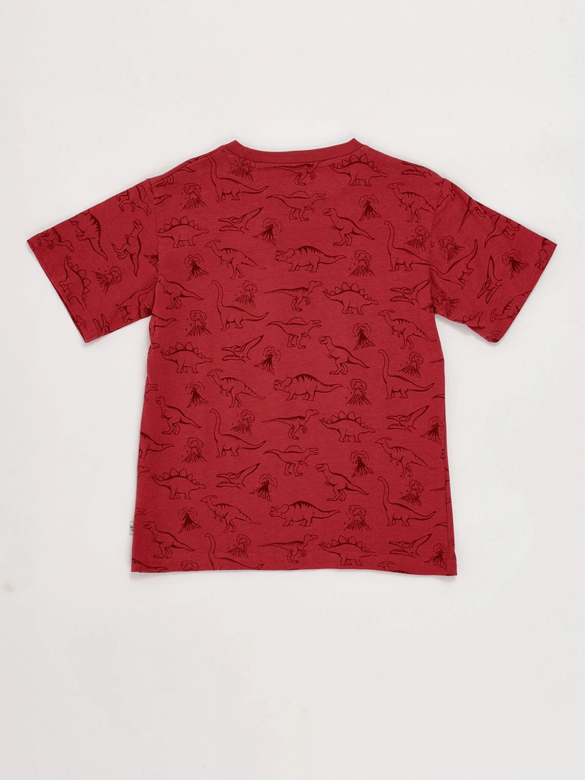 POLO MANGA CORTA ALGODÓN NIÑO HARVEST PRINT - 2