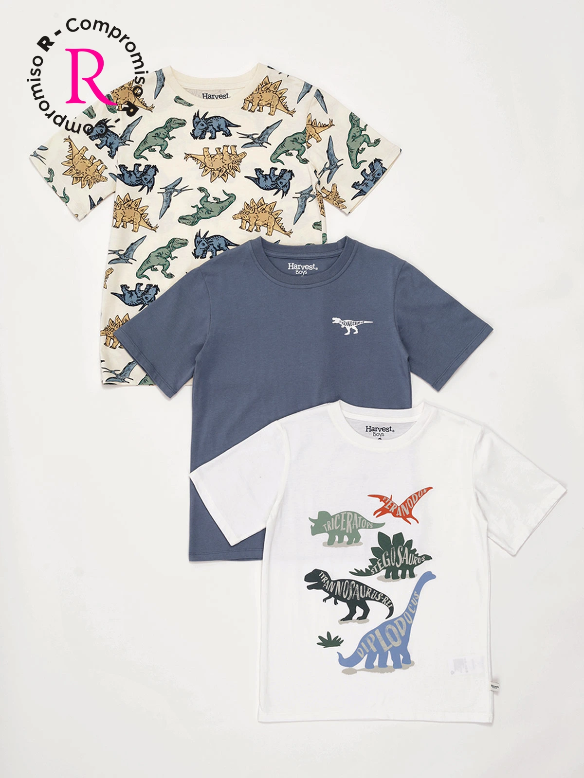PACK POLO ALGODÓN NIÑO HARVEST - 1