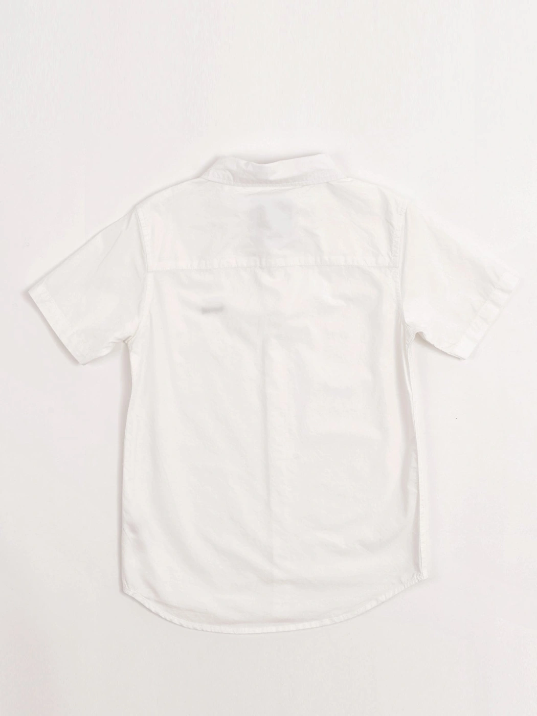 CAMISA MANGA CORTA ALGODÓN NIÑO HARVEST - 3