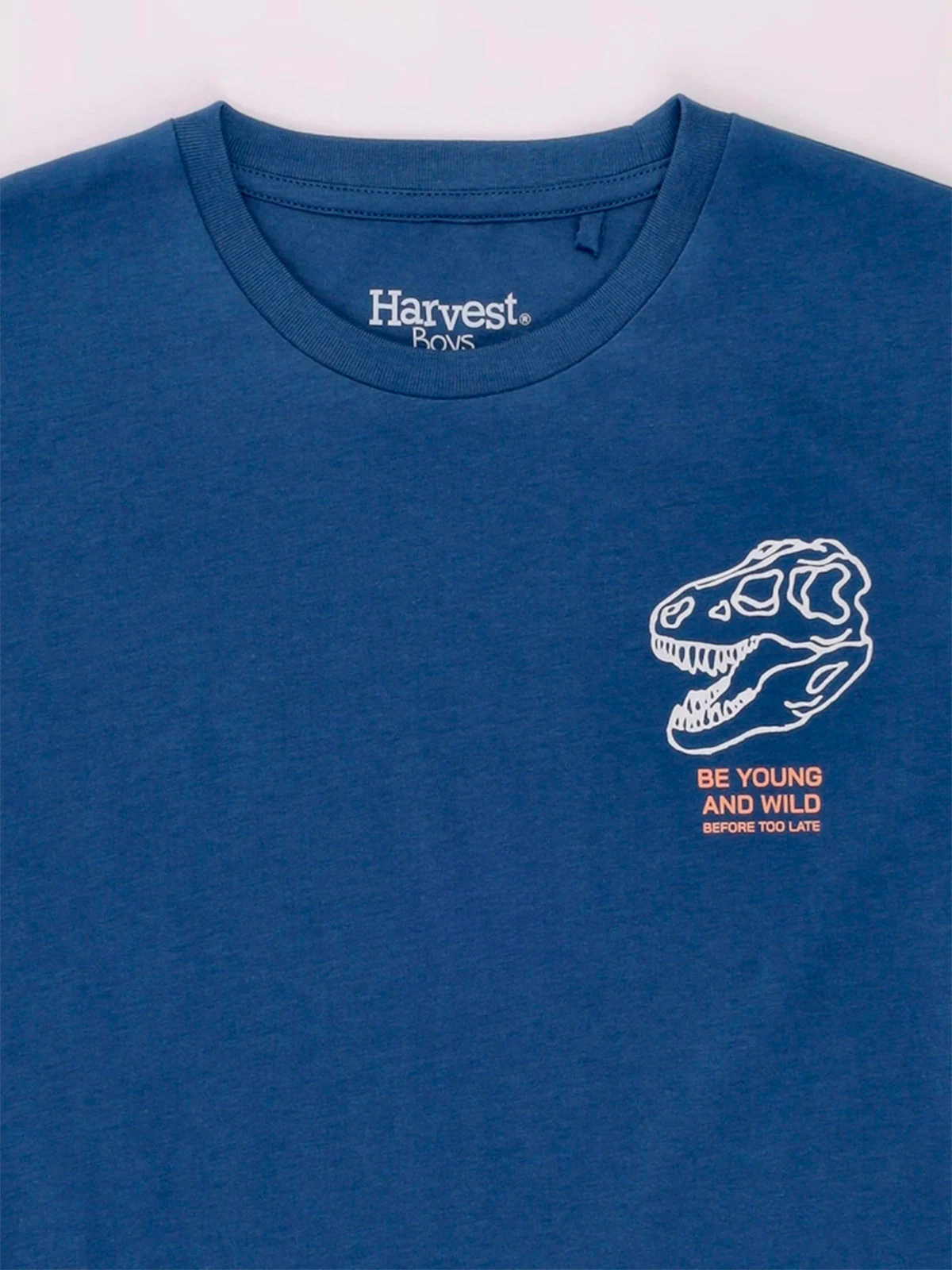 POLO MANGA CORTA ALGODÓN NIÑO HARVEST ESTAMPADO PECHO Y ESPALDA - 3