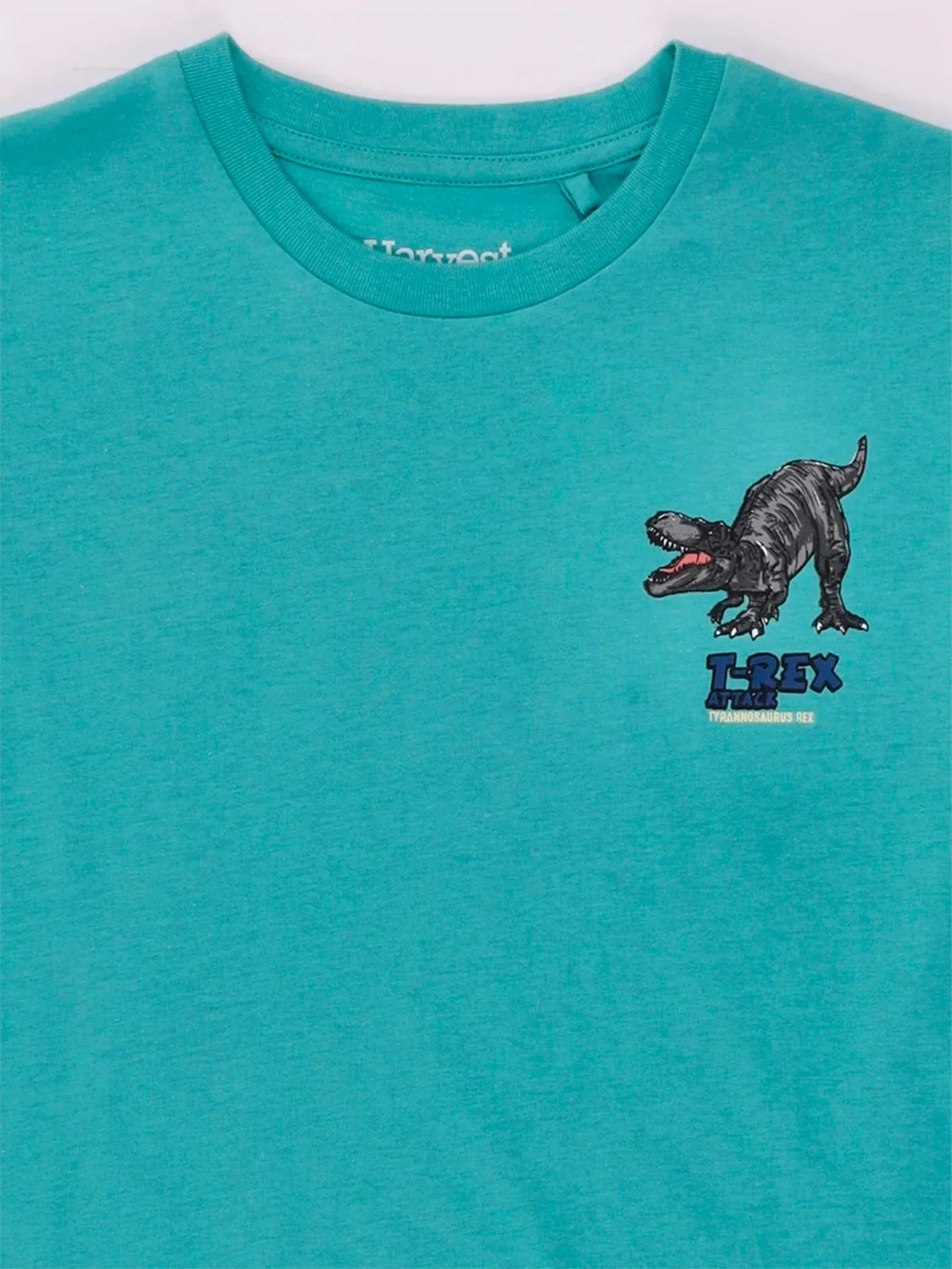 POLO MANGA CORTA ALGODÓN NIÑO HARVEST ESTAMPADO PECHO Y ESPALDA - 3