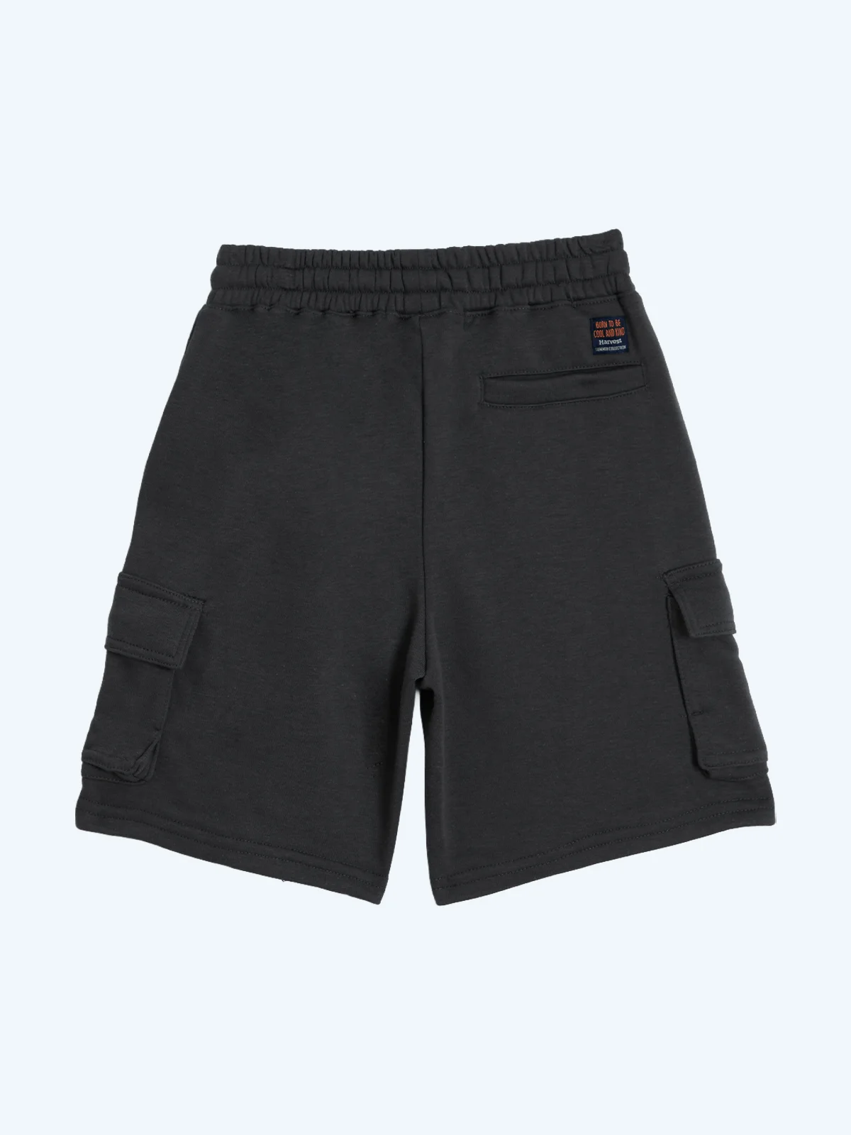 SHORT CARGO  ALGODÓN NIÑO HARVEST FRENCH - 2