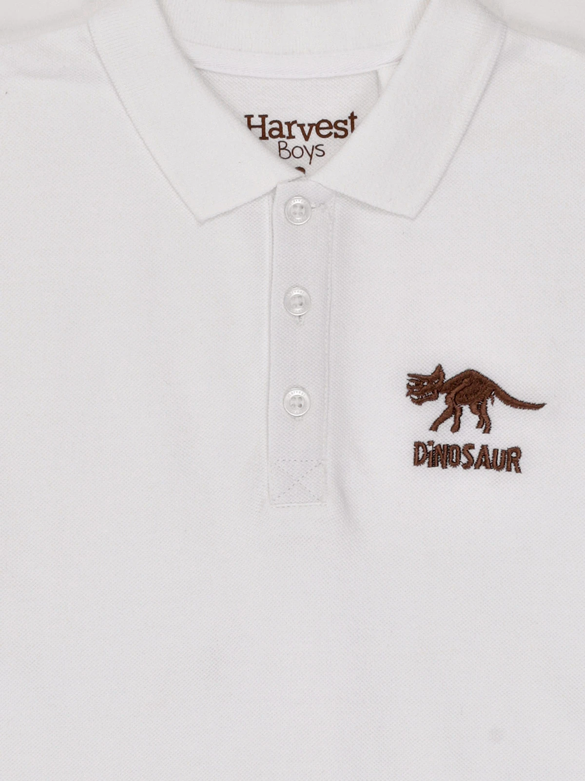 POLO MANGA CORTA ALGODÓN NIÑO HARVEST - 3