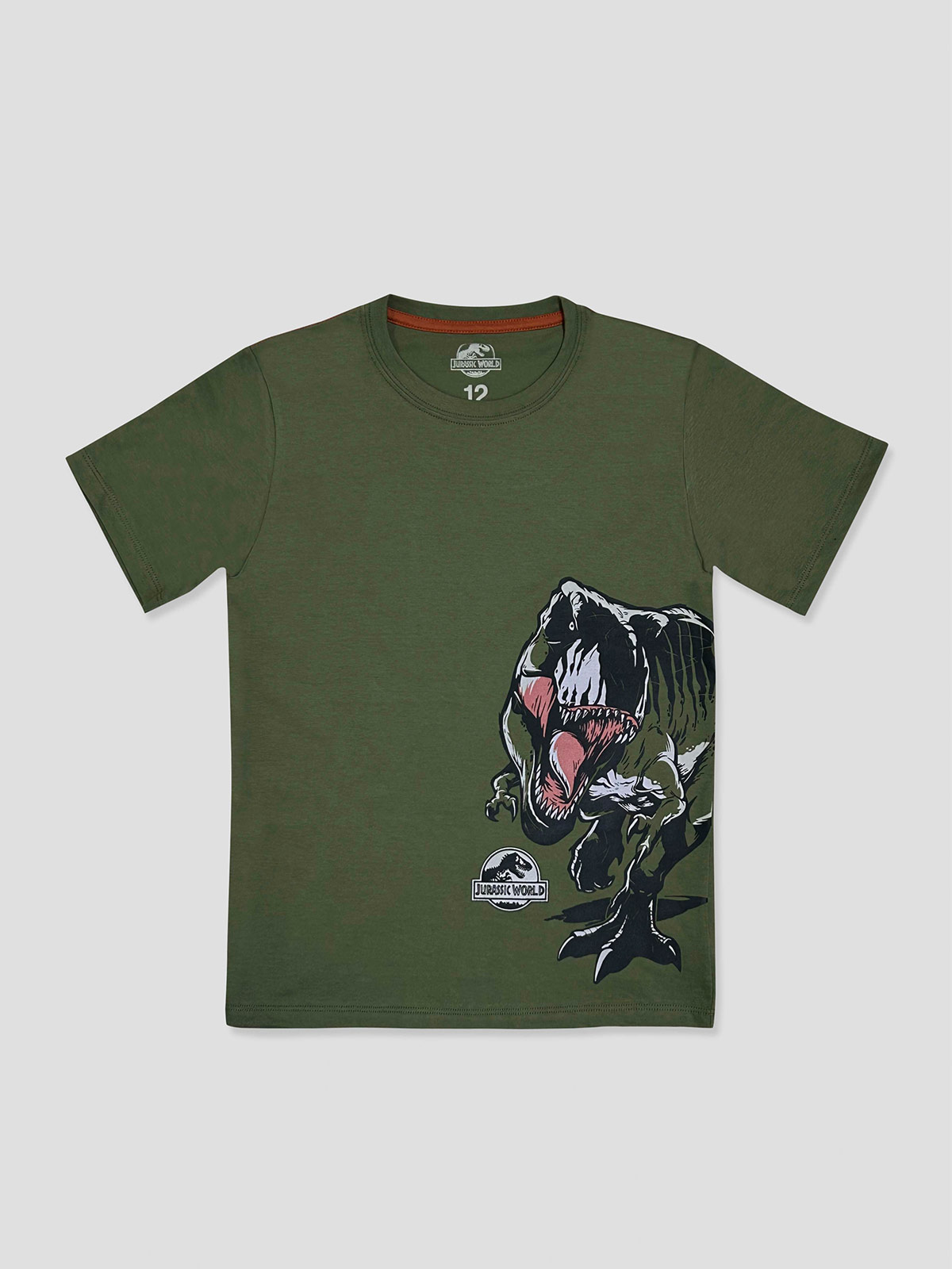 POLO MANGA CORTA ALGODÓN NIÑO JURASSIC WORLD CUELLO REDONDO REX - 1